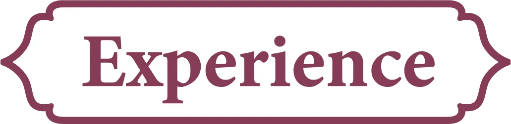Experience